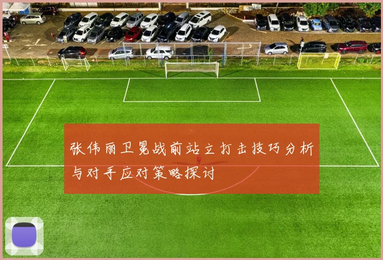 张伟丽卫冕战前站立打击技巧分析与对手应对策略探讨